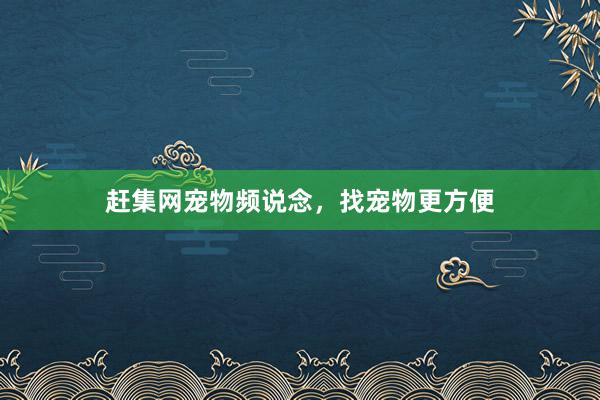 赶集网宠物频说念，找宠物更方便